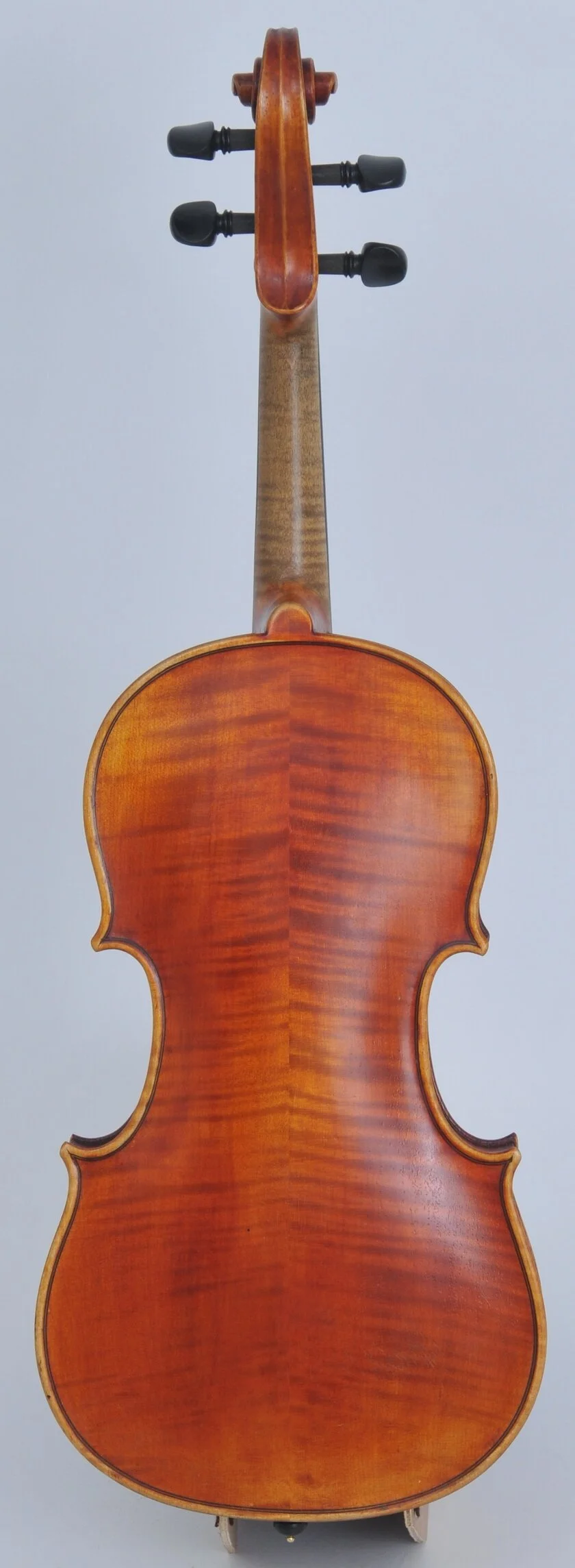 ビオラ C. A. Wunderlich Siebenbrunn 1910年頃 ビオラ C. A. Wunderlich Siebenbrunn 1910年頃